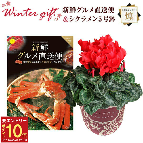 【エントリーでP10倍★20日20時-27日2時】シクラメン 鉢植え 花 ギフト プレゼント カタログギフト 新鮮グルメ直送便 煌コース お花 赤系 5号鉢 鉢花 花鉢 しくらめん 5号 鉢 送料無料 お歳暮 誕生日 フラワーギフト キングマカデミア 花のギフト社