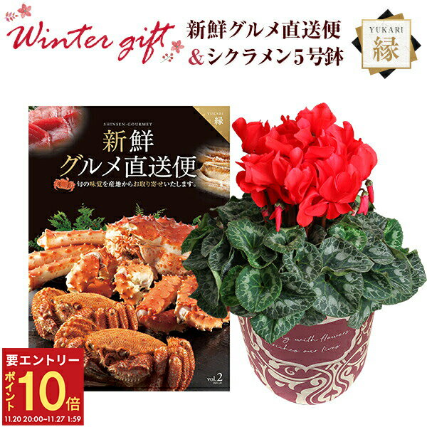 【エントリーでP10倍★20日20時-27日2時】シクラメン 鉢植え 花 ギフト プレゼント カタログギフト 新鮮グルメ直送便 縁コース お花 赤系 5号鉢 鉢花 花鉢 しくらめん 5号 鉢 送料無料 お歳暮 誕生日 フラワーギフト キングマカデミアン 花のギフト社