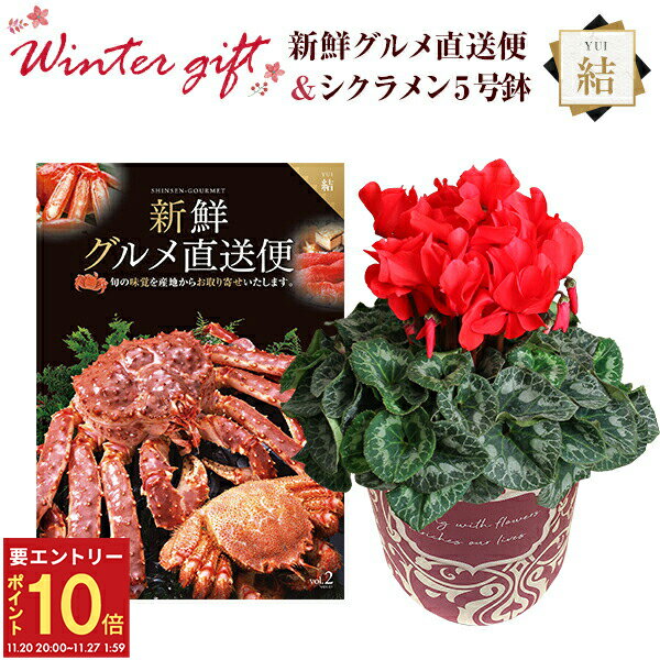 【エントリーでP10倍★20日20時-27日2時】シクラメン 鉢植え 花 ギフト プレゼント カタログギフト 新鮮グルメ直送便 結コース お花 赤系 5号鉢 鉢花 花鉢 しくらめん 5号 鉢 送料無料 お歳暮 誕生日 フラワーギフト キングマカデミアン 花のギフト社
