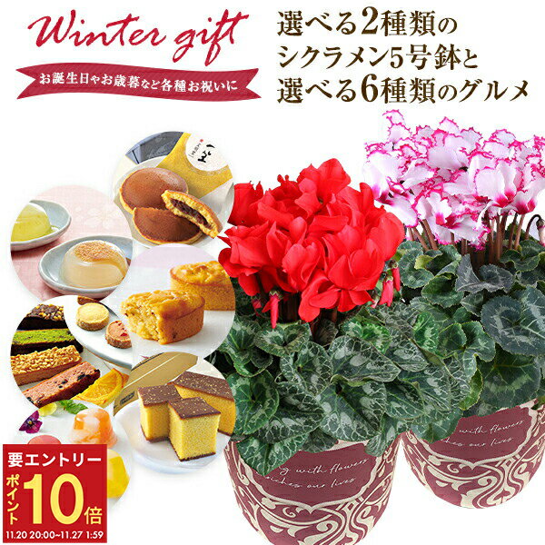 【エントリーでP10倍★20日20時-27日2時】当日発送17時〆 シクラメン 5号鉢 鉢花 花鉢 送料無料 5号 鉢植え 花 ギフト プレゼント 選べる 6種 お菓子 お花 ビクトリアしくらめん 鉢 文明堂 どら焼き 日光 カステラ こがね芋 吉野の葛餅 フルーツゼリー