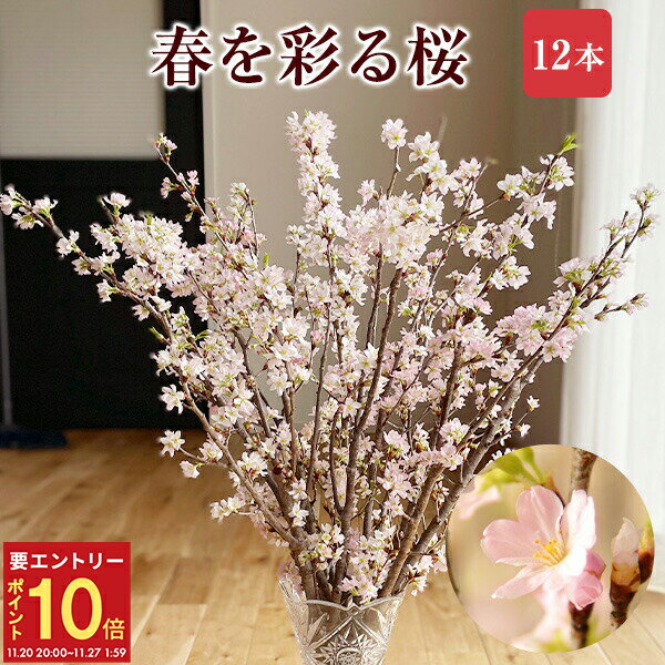 【エントリーでP10倍★20日20時-27日2時】さくら 桜 啓翁桜 12本 花束 お誕生日 切花 生花 サクラ 花 桜のお花 フラワーギフト 誕生日 お祝い 卒業祝い 入学祝い 送別会 花ギフト プレゼント お花見 正月飾り 玄関 モダン おしゃれ お正月飾り 正月桜 送料無料
