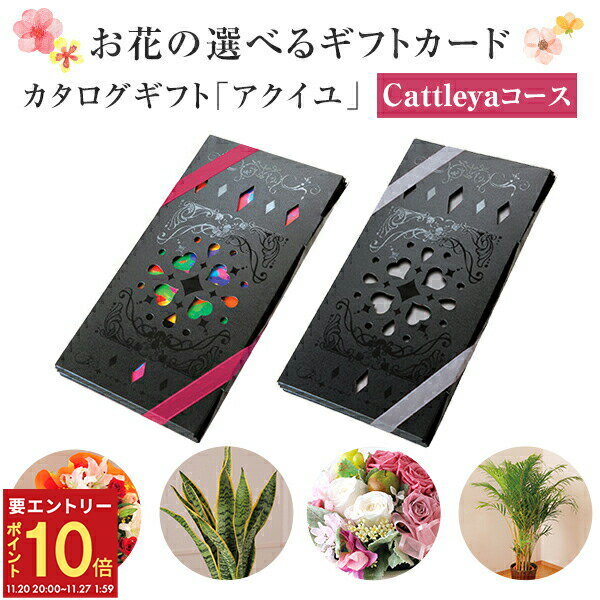 【エントリーでP10倍★20日20時-27日2時】当日発送17時〆 カタログギフト アクイユ カトレアコース 送料無料 花 花ギフト フラワー ギフト プレゼント 鉢植え 花鉢 鉢花 花束 生花 アレンジ プリザーブドフラワー 誕生日 お祝い お祝い返し 内祝い 景品 記念品 粗品