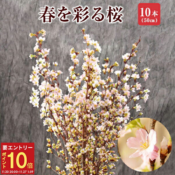 【エントリーでP10倍★20日20時-27日2時】【P5倍★11/13〜11/17】さくら 桜 啓翁