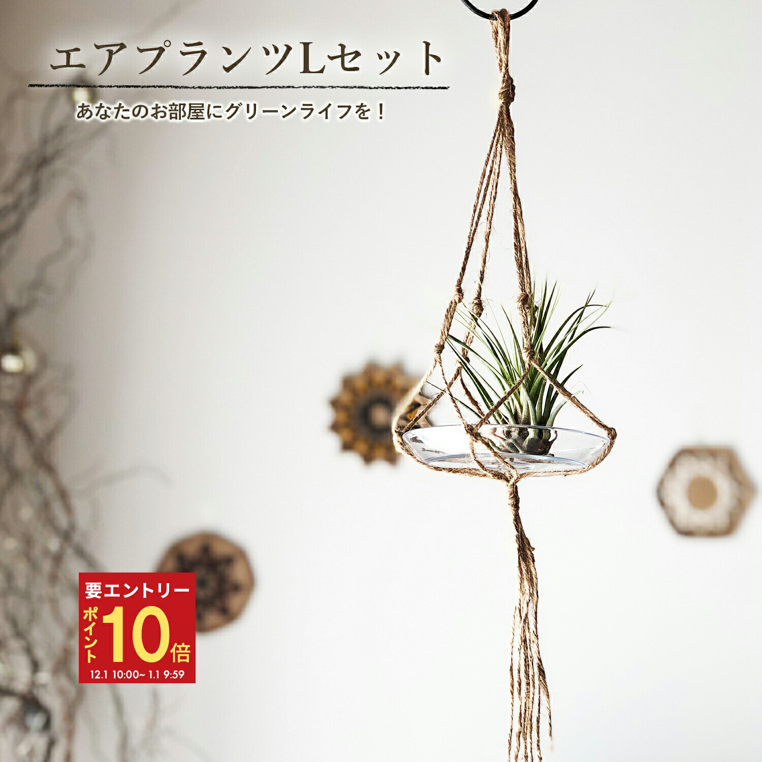 【エントリーでP10倍★1/1 9:59まで】翌日配達 14時〆 エアプランツ ハンギングネット 皿付 吊り下げ 麻紐 おしゃれ 手編み 多肉植物 観葉植物 送料無料 インテリア グリーン フラワーギフト 置くだけ 飾れる 簡単 お祝い プレゼント ナチュラル 壁掛け 父の日