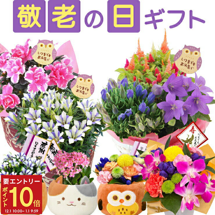 【エントリーでP10倍★1/1 9:59まで】【当日発送17時〆】 敬老の日 プレゼント ギフト 花 ...