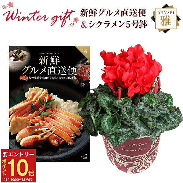【エントリーでP10倍★1/1 9:59まで】シクラメン 鉢植え 花 ギフト プレゼント カタログギフト 新鮮グル..