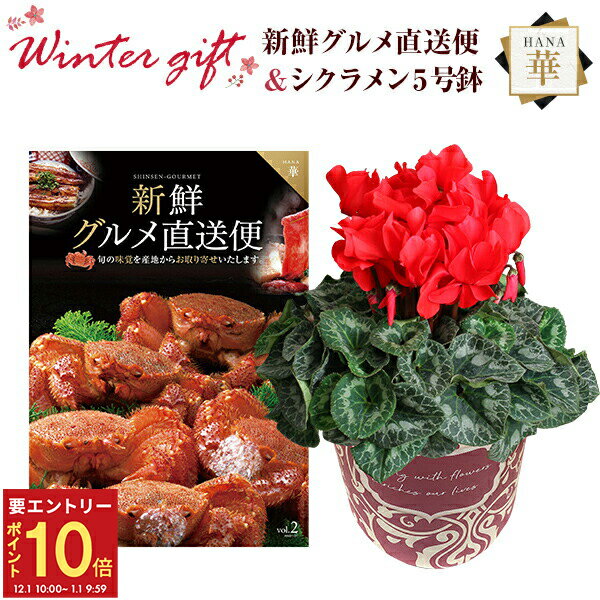 【エントリーでP10倍★1/1 9:59まで】シクラメン 鉢植え 花 ギフト プレゼント カタログギフト 新鮮グル..