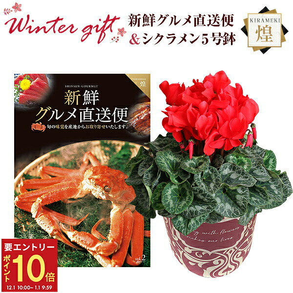 【エントリーでP10倍★1/1 9:59まで】シクラメン 鉢植え 花 ギフト プレゼント カタログギフト 新鮮グル..