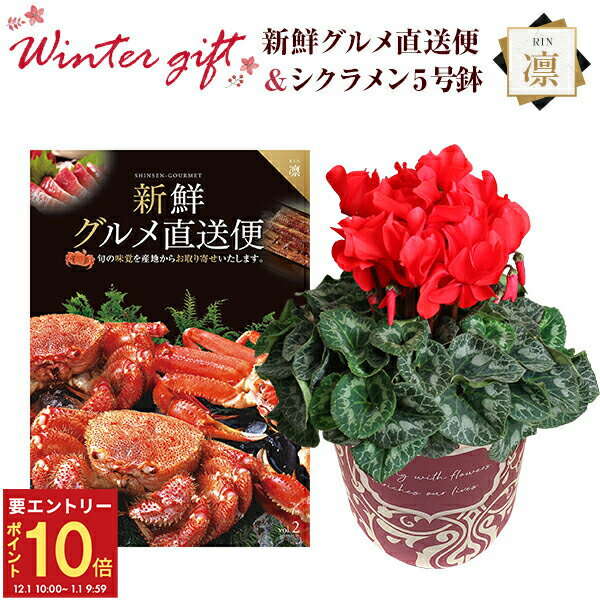 【エントリーでP10倍★1/1 9:59まで】シクラメン 鉢植え 花 ギフト プレゼント カタログギフト 新鮮グル..