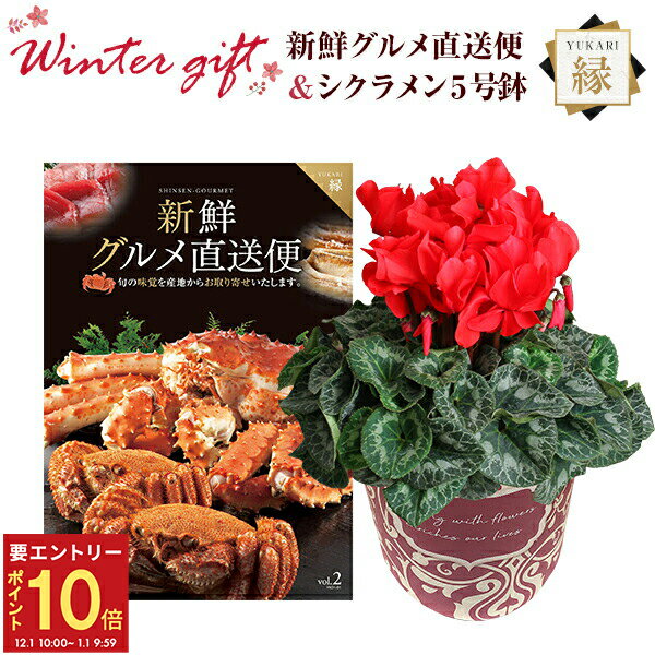 【エントリーでP10倍★1/1 9:59まで】シクラメン 鉢植え 花 ギフト プレゼント カタログギフト 新鮮グル..