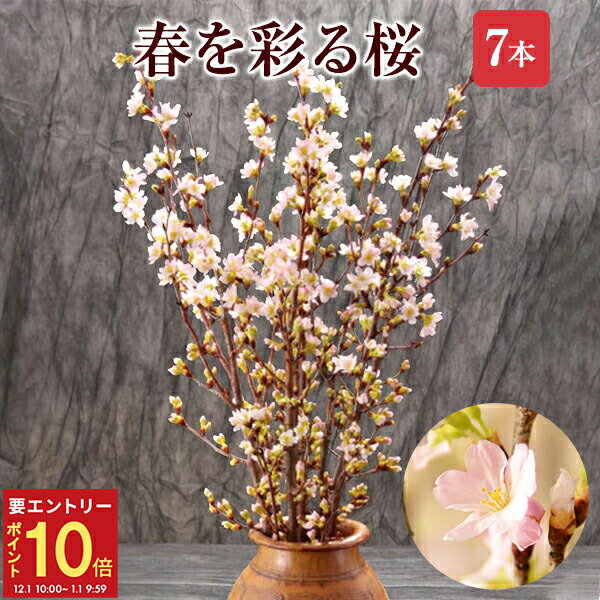 【エントリーでP10倍★1/1 9:59まで】さくら 桜 啓翁桜 7本 花束 お誕生日 切花 生花 