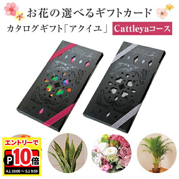 アクイユ 【エントリーでポイント10倍】当日発送17時〆 カタログギフト アクイユ カトレアコース 送料無料 花 花ギフト フラワー ギフト プレゼント 鉢植え 花鉢 鉢花 花束 生花 アレンジ プリザーブドフラワー 誕生日 お祝い お祝い返し 内祝い