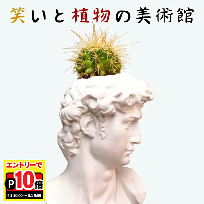 【エントリーでポイント10倍】サボテン ミニ おもちゃ インテリア 誕生日 面白 プレゼント 寄せ植え さぼてん 多肉植物 観葉植物 ギフト 雑貨 歳暮 美術 アグリッパ 聖ジョルジョ アリアス ひげの男 石膏 人物 オブジェ 贈物 アート