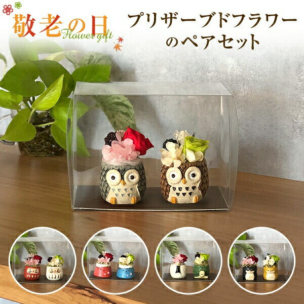 乐天商城 - 【エントリーでポイント10倍】当日発送17時〆 プリザーブドフラワー 2個セット ペアセット 縁起 寅 富士山 鶴亀 達磨 だるま セット 選べる 花 ギフト プレゼント 花 アレンジメント 誕生日 お祝い