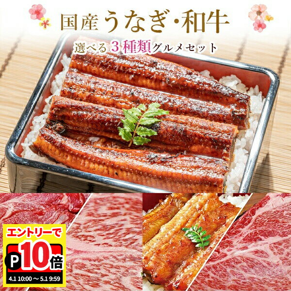 乐天商城 - 【エントリーでポイント10倍】うなぎ蒲焼 和牛 ステーキ 選べる セット 丑の日 中元 ギフト 国産 うなぎ 蒲焼き 肉 ステーキ 黒毛和牛 牛肉 近江牛 奥羽牛 ウナギ 鰻 蒲焼 鰻蒲焼 送料無料 国内産 冷凍 冷凍食品 食べ物 グルメ プレゼント