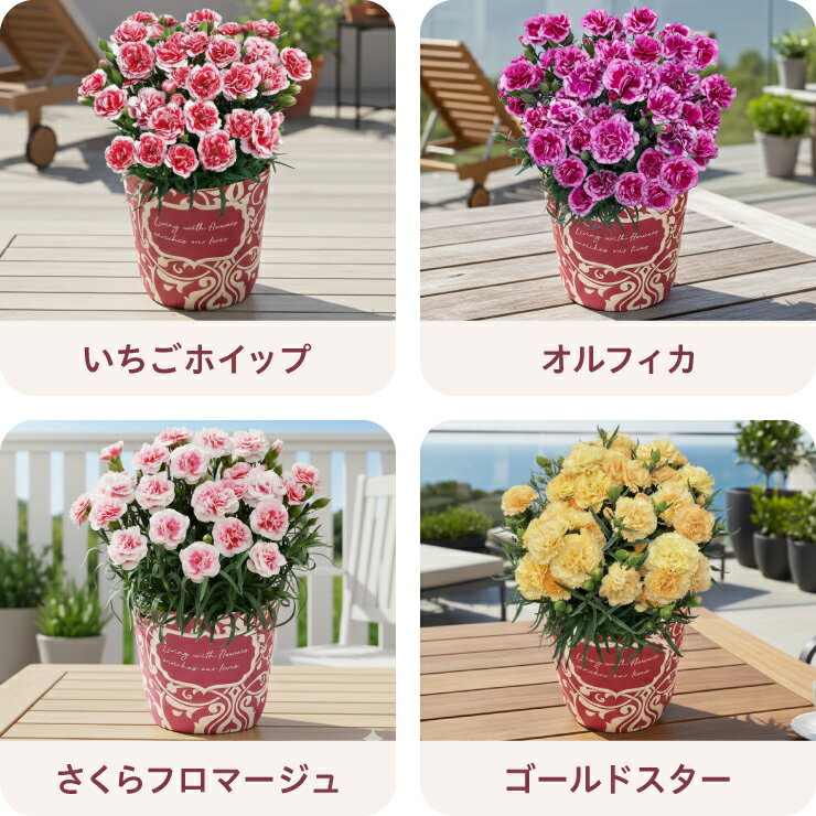 ��Ķ��䡿 ����� ��� �ץ쥼��� ���ե� �����͡������ �� ���� ���ե� ȭ���� 5�� 4�� ��ȭ �͵� ������� ���襤�� ���� ��������ե� ���̡����� ����̵�� �֤Υ��եȼ�