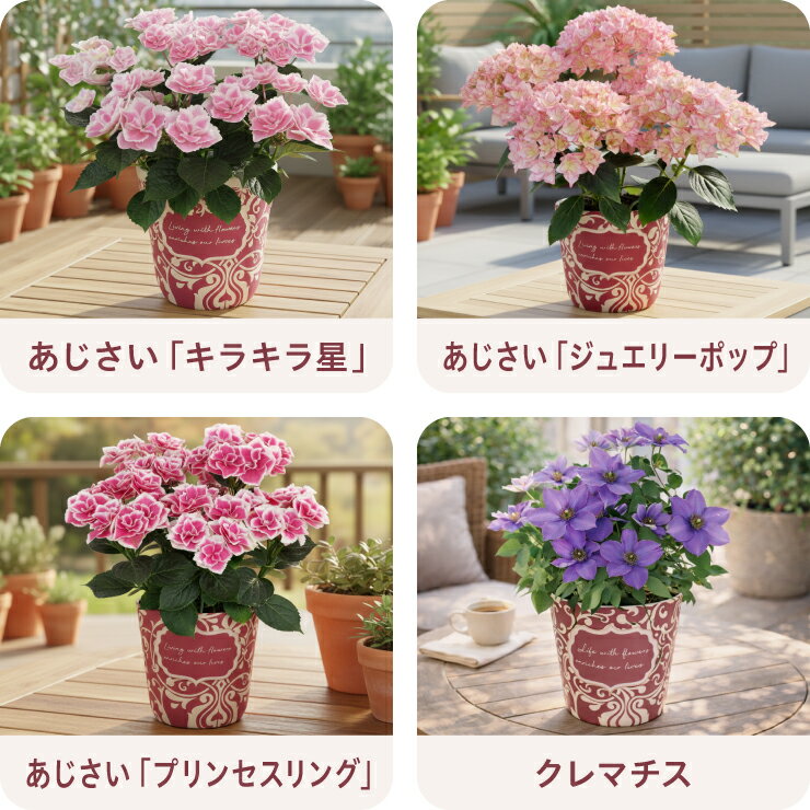 ��Ķ��䡿 ����� ��� �ץ쥼��� ���ե� �� ���� ���ե� ȭ���� ȭ�� ��ȭ ɴ�� ��� ���ꥢ ���۲� �������� �������� ����ޥ��� �֡�����ӥꥢ �ޥ��������른�㥹�ߥ� �͵� ������� ���襤�� ���� ������ ��������ե� ���̡����� ����̵�� �֤Υ��եȼ�