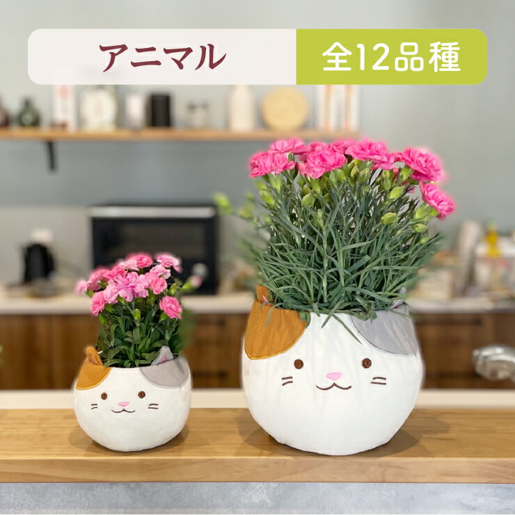 ＼超早割／ 母の日 早割 プレゼント ギフト カーネーション 花 生花 ギフト 鉢植え 花鉢 鉢花 動物 アニマル 犬 猫 いぬ ネコ ねこ 三毛猫 クマ くま かわいい 人気 母の日ギフト 東北〜関西 送料無料 花のギフト社