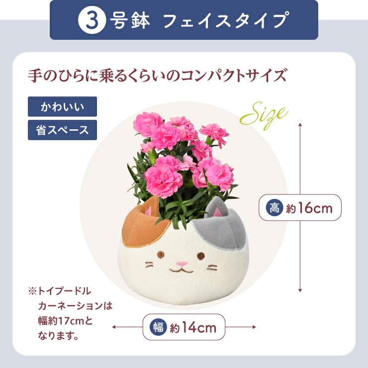 ＼超早割／ 母の日 早割 プレゼント ギフト カーネーション 花 生花 ギフト 鉢植え 花鉢 鉢花 動物 アニマル 犬 猫 いぬ ネコ ねこ 三毛猫 クマ くま かわいい 人気 母の日ギフト 東北〜関西 送料無料 花のギフト社