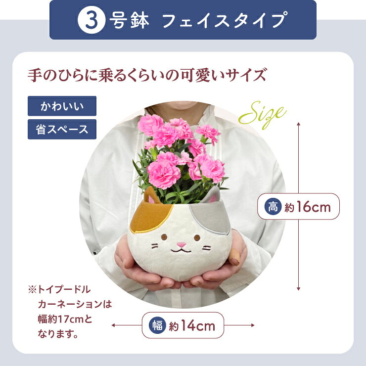 母の日 プレゼント ギフト カーネーション 花 生花 ギフト 鉢植え 花鉢 鉢花 動物 アニマル 犬 猫 いぬ ネコ ねこ 三毛猫 クマ くま かわいい 人気 母の日ギフト 東北〜関西 送料無料 花のギフト社