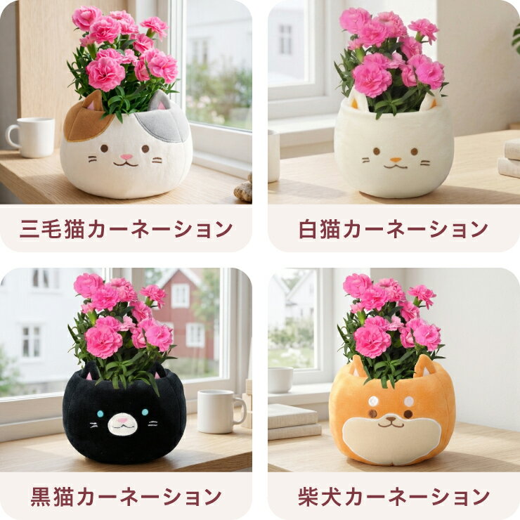 ��Ķ��䡿 ����� ��� �ץ쥼��� ���ե� �����͡������ �� ���� ���ե� ȭ���� ��ȭ ȭ�� ưʪ ���˥ޥ� �� ǭ ���� �ͥ� �ͤ� ����ǭ ���� ���� ���襤�� �͵� ��������ե� ���̡����� ����̵�� �֤Υ��եȼ�