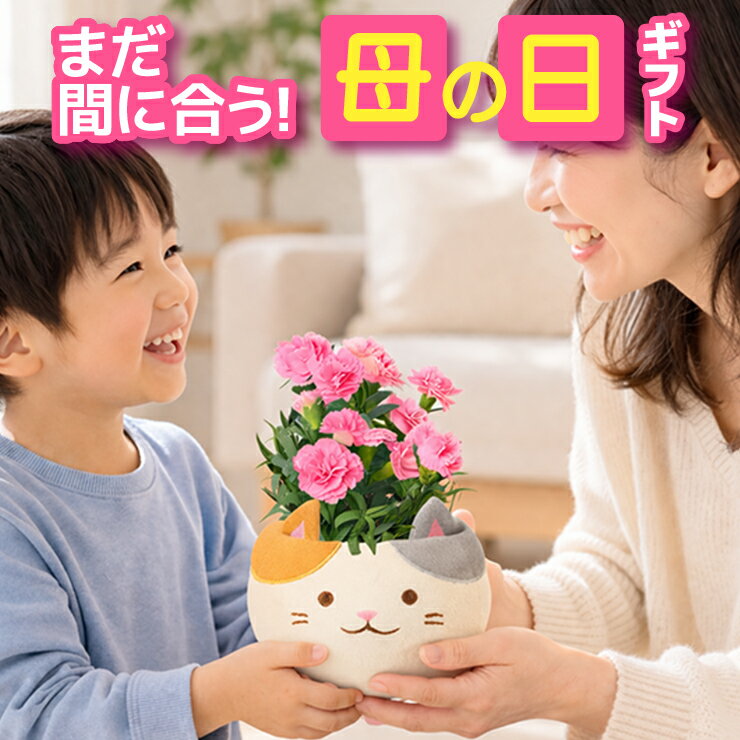 母の日 プレゼント ギフト カーネーション 花 生花 ギフト