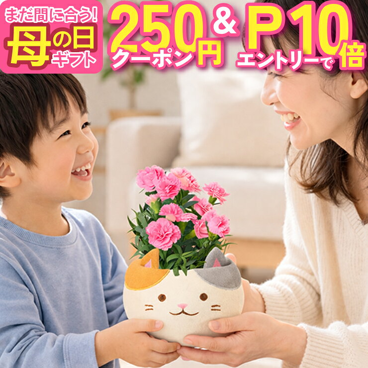 【5/1限定P10倍】 母の日 プレゼント ギフト カーネーション 花 生花 ギフト 鉢植え 花鉢 鉢花 動物 アニマル 犬 猫 いぬ ネコ ねこ 三毛猫 クマ くま かわいい 人気 母の日 東北〜関西 送料無料 花のギフト社