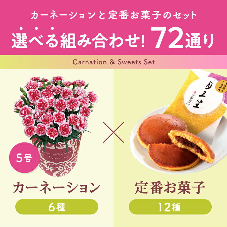 ＼超早割／ 母の日 早割 プレゼント ギフト カーネーション 花 生花 ギフト 鉢植え 5号 花鉢 カステラ どら焼き 人気 おしゃれ かわいい 希少 母の日ギフト 東北〜関西 送料無料 スイーツ お菓子 洋菓子 ギフトセット 花のギフト社