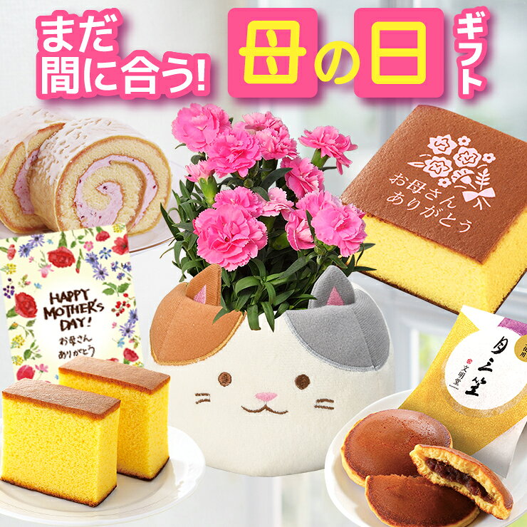 母の日 プレゼント ギフト カーネーション 花 生花 ギフト 鉢植え 花鉢 鉢花 カステラ どら焼き ...