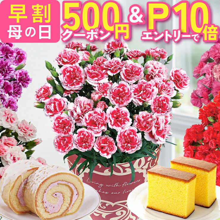 【500円クーポン＆エントリーでP10倍】 母の日 早割 プ
