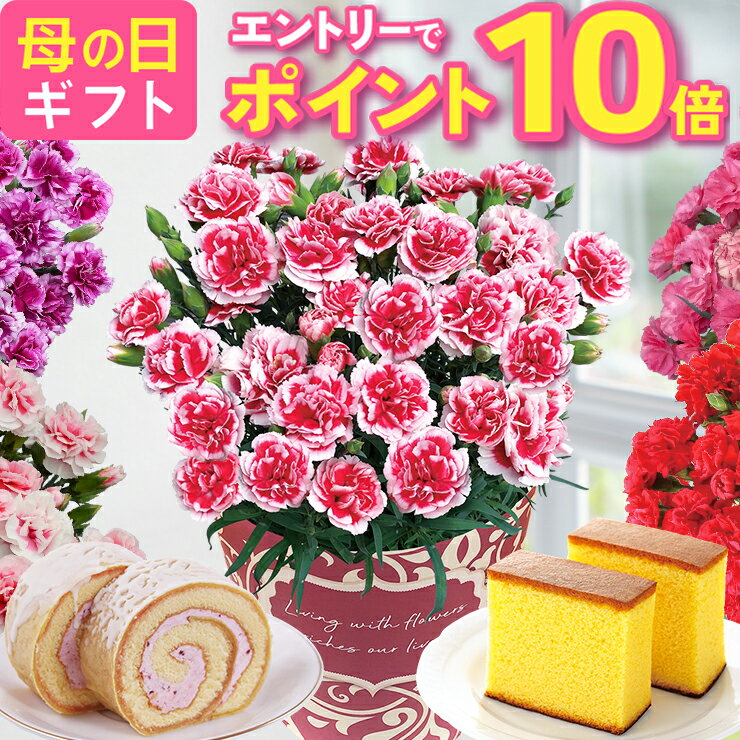 【エントリーでポイント10倍】 母の
