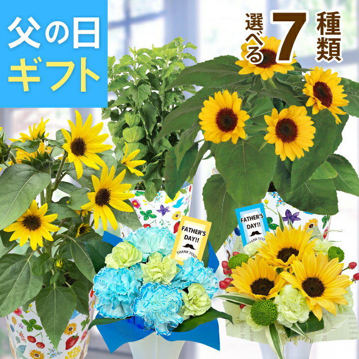 【エントリーでポイント10倍】父の日 花 ギフト ひまわり ガーデニア ほおずき 鉢植え 生花 アレ...