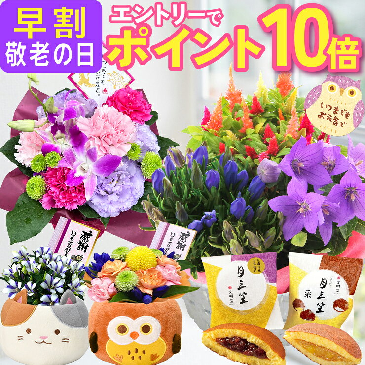 【エントリーでポイント10倍】 早割 敬老の日 プレゼント ...