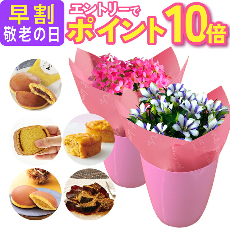 【エントリーでポイント10倍】 早割 敬老の日 プレゼント ギフト 花 スイーツ 鉢植え 花鉢 生花...
