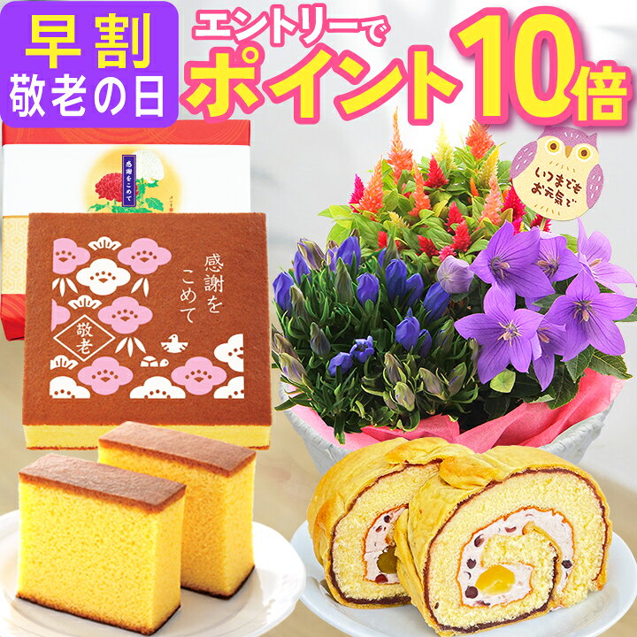 【エントリーでポイント10倍】 敬老の日 プレゼント ギフト 花 スイーツ 鉢植え 花鉢 鉢花 生花...