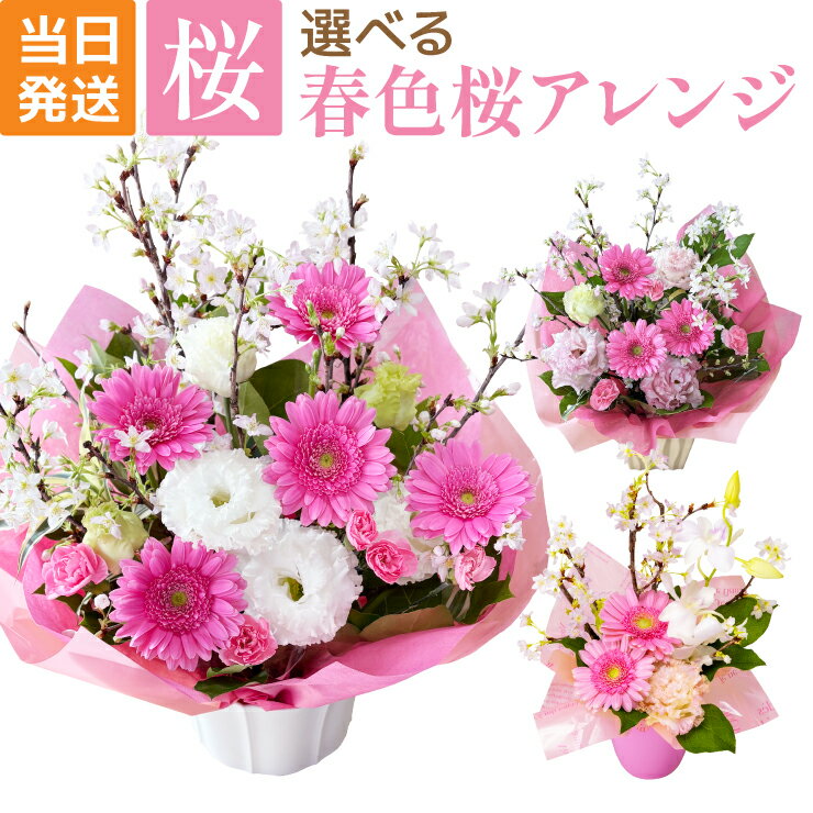 当日発送17時〆 桜 アレンジメント 啓翁桜 ガーベラ トルコキキョウ 春 ピンク フラワーアレンジ フラワーギフト 花 ギフト 生花 当日発送 即日発送 送料無料 選べる2サイズ 大 小 お祝い