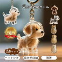 \高評価★1点最安640円・2点購入で/【ランキング10冠達成!】ペット 遺毛 ケース 透明 ペット 遺毛入れ 犬の毛収納ボトル ペットメモリアルボトル 犬のキ...