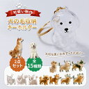 \新作突撃!1点最安640円・2点購入で/犬の毛収納ボトル ペット 遺毛 ケース 透明 ペット 遺毛入れ ペットメモリアルボトル 犬のキーホルダー 犬 毛 キー...
