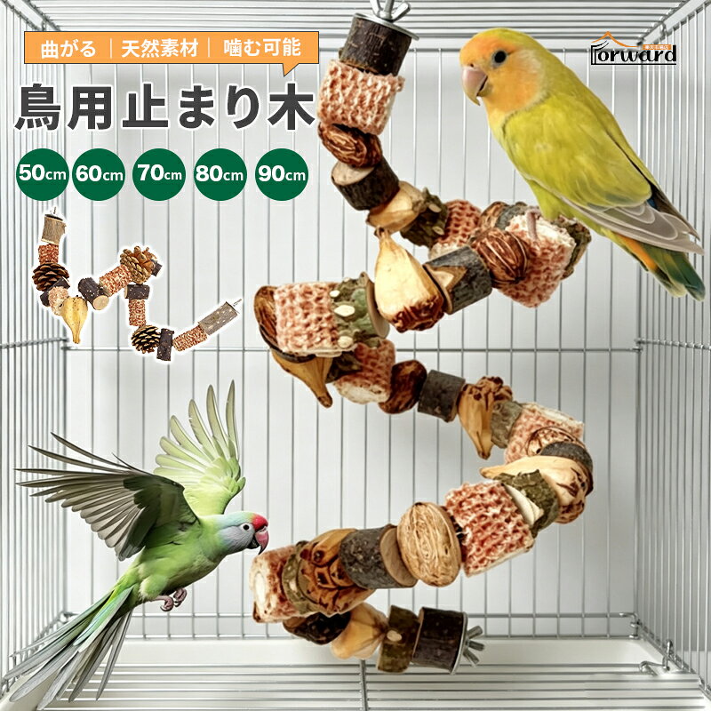 楽天市場】カクタスパーチ（鳥用品｜ペット・ペットグッズ）の通販