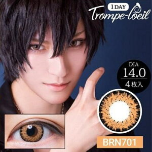 カラコン アウトレット トロンプルイユワンデー BRN701 1箱4枚 ワンデー1日使い捨て 度なし Trompe-l'oeil 1day コスプレ パーティー レイヤー コミケ ハロウィン 1day