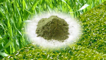 ��3Ȣ���åȡۡڤ������б��ۤ�������Ľ� ���꡼��ޥ���ƥ�165g(2.5g��66��)�ʴԸ����Ľ������꡼��ޥ���ƥ��̾�Τ��Ѥ��ޤ�����)�������ա��Ľ�