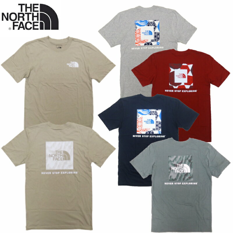 THE NORTH FACE M S/S BOX NSE TEE / MENS SHORT SLEEVE BOX NSE TEE / LOGO / ザ・ノース・フェイス / メンズ / ボックス ロゴ / HALF DOME / ハーフ ドーム / Tシャツ / 半袖Tシャツ / ショートスリーブ / バックプリント / NF0A4763