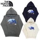 【あす楽】THE NORTH FACE MEN 039 S TNF BEAR PULLOVER HOODIE / M TNF BEAR PO HDIE / ザ ノース フェイス / ベア プルオーバー フーディ / LONG SLEEVE / ロングスリーブ / プルオーバーパーカー / フーディ / pull over parka / メンズ / 長袖 / NF0A5J93