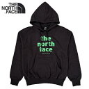 yyzTHE NORTH FACE MEN'S EVOLUTION VINTAGE HOODIE / M EVLN VINTAGE HOODIE / UEm[XEtFCX / vI[o[ t[fB / LONG SLEEVE / OX[u / vI[o[p[J[ / pull over parka / t[fB / Y /  / NF0A84GE