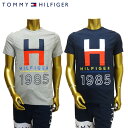 TOMMY HILFIGER / CREW TEE / T-SHIRT / トミー・ヒルフィガー / Tシャツ / 09T3340