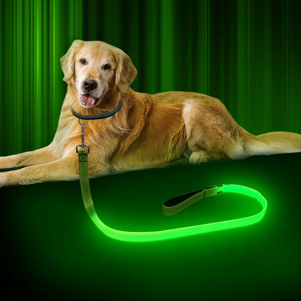 犬 リード 光る 犬散歩ライト ledリード 1.2m 夜間 USB充電式 リードライト付き 視認距離500mで夜間安心 中型犬 大型犬 ペット用品 (グリーン＋反射糸3本)