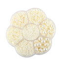 Hitasi 半円パール 3100粒 半球パール ABS パールストーン パールスカボション 2/3/4/5/6/8/10Mm 光沢 半球型 ネイルアート 衣類...