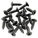 Musiclily Basic 2.5x10mm 金属 ミリ規格ピックガード ジャック ビス スレッド トラスロッドカバー ネジ エピフォンレスポールスタイルギター用、ブラック(20個セット)