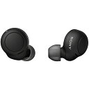 ソニー(SONY) 完全ワイヤレスイヤホン WF-C500 : /軽量小型5.4g/高精度通話品質/簡単ペアリング/IPX4防滴性能/ブラック WF-C500 BZ(2)