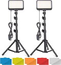 UBeesize LED撮影用ライト 2packsセット 8インチビデオライト 俯瞰撮影 三脚 カラーフィルター付き ledライト YouTube/Tik To...